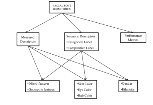Figure 1: Categorisation of Soft Biometric Methods (Arigbabu et al., 2015)